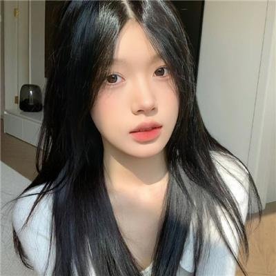 莫西干回到故乡
