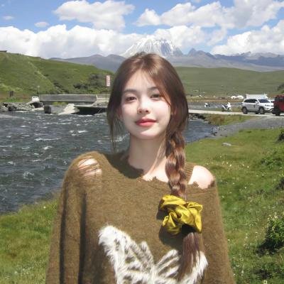 芝加哥警署第八季